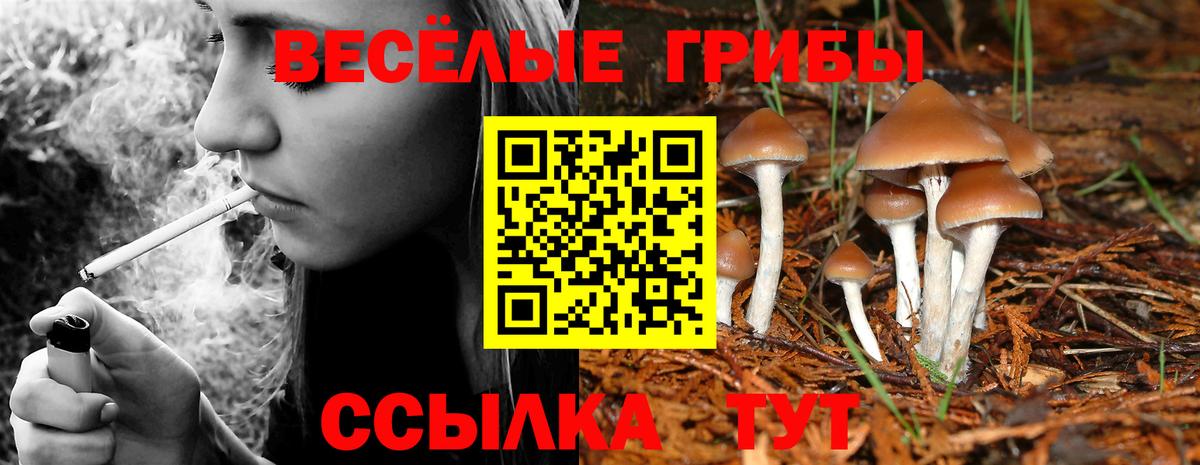 Псилоцибиновые грибы мухоморы Азнакаево