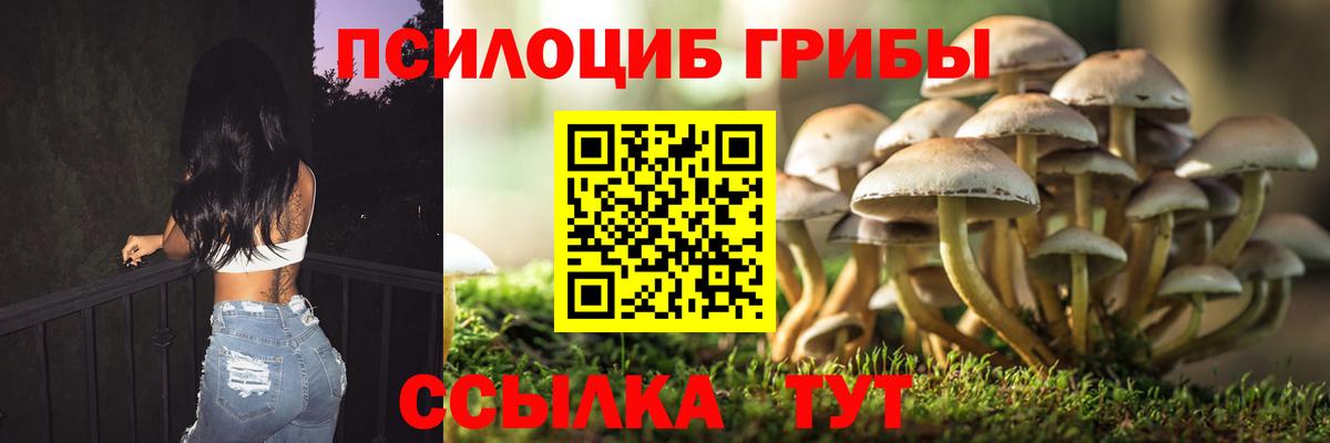 Азнакаево  Галлюциногенные грибы мицелий  Вход с VPN 